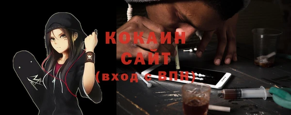 PSILOCYBIN Каменск-Шахтинский