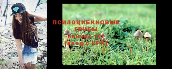 круглые Каменка