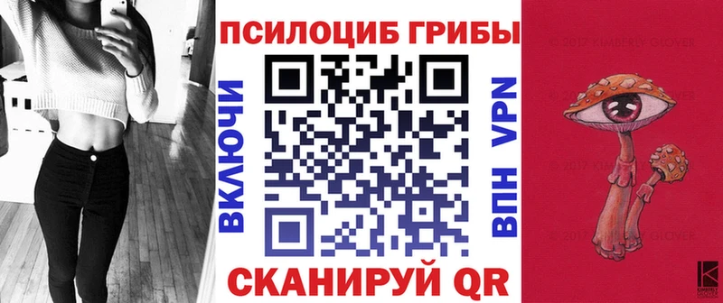 где купить наркотик  дарк нет какой сайт  Галлюциногенные грибы Cubensis  Яровое 